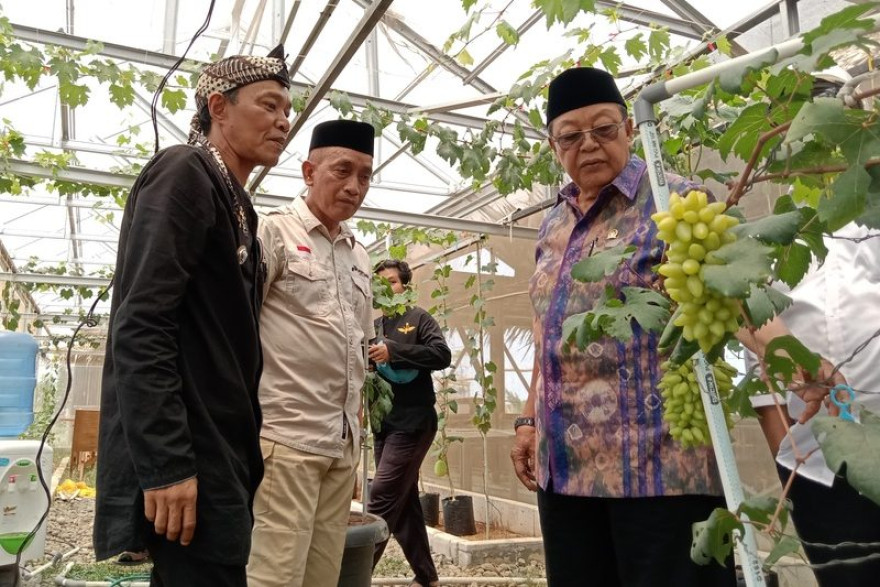Wisata Embung Jangkar konsep Wisata Alam Edukasi